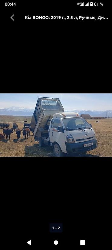 Услуги портера: Заказать Хендай портер, Вывоз бытового мусора, С пирамидой — 10