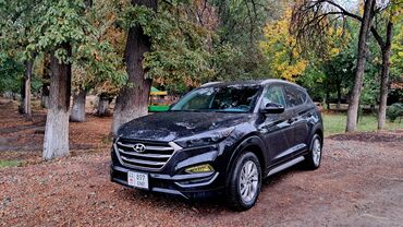 где взять авто в рассрочку: Hyundai Tucson: 2017 г., 2 л, Автомат, Бензин, Кроссовер