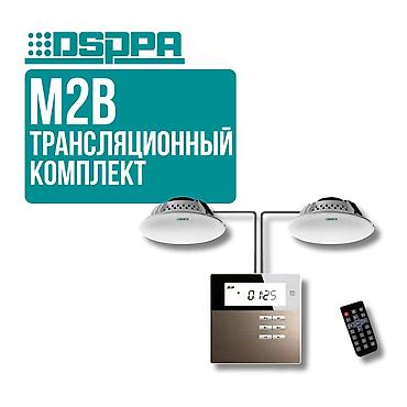 rush wave: Трансляционный комплект DSPPA M2W Готовое решение для музыкальной — 3