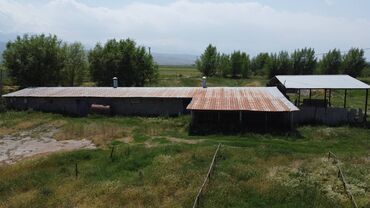 Сельхоз предприятия: 550 соток, Действующий, С оборудованием, Электричество — 12