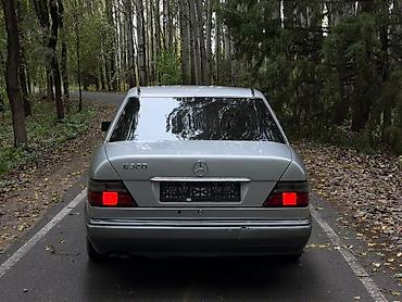 решетка на w210: Mercedes-Benz E-Class: 1994 г., 3.2 л, Автомат, Бензин, Седан — 4