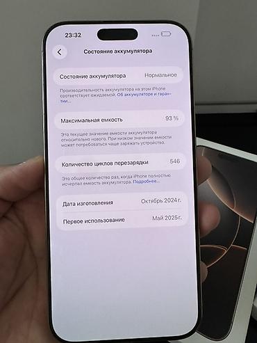 the sims: IPhone 16 Pro Max, цвет Natural Titanium (натуральный титан) - Экран — 2