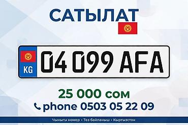 nomera srs: АВТОНОМЕР КЫРГЫЗСТАНА: 0409 AFA - Формат: государственный — 1