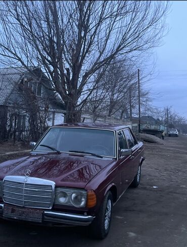 Mercedes-Benz: Mercedes-Benz W123: 1981 г., 2.2 л, Механика, Дизель, Седан — 1