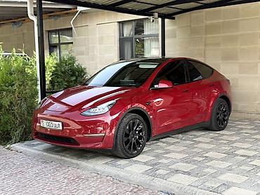 byd e6: Tesla Model Y: 2020 г., Электромобиль, Кроссовер — 1