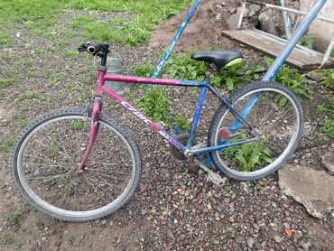 детский велосипед чижик: Продаю велосипед состояние хорошая размер колёс 26 вложений по желанию