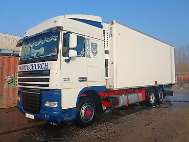 Тягачи: Тягач, DAF, 2012 г., Холодильник, рефрижератор — 2