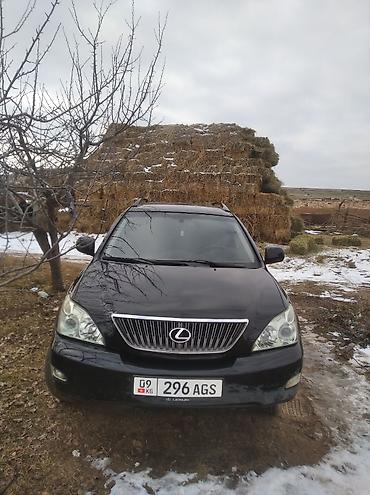 Lexus: Lexus RX: 2005 г., Кроссовер — 6