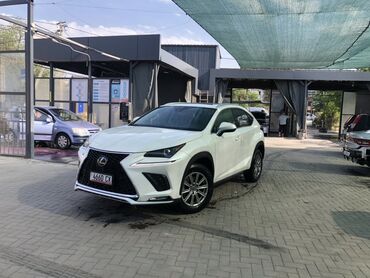 Lexus: LEXUS NX 300 Год 2019.10 Белый жемчуг Шикарный черный салон Все