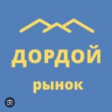 продаю контейнер дордой моторс: Бизнес сатуу Соода контейнери, Кийим-кечелер, Төмөнкүлөр менен бирге: Кардарлар жана жеткирүүчүлөр базасы, Документтер жана отчёттуулук, Жабдуулар жана эмерек