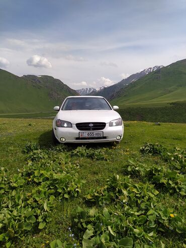 рама газ 52 53: Nissan Maxima: 2000 г., 3 л, Механика, Газ, Седан