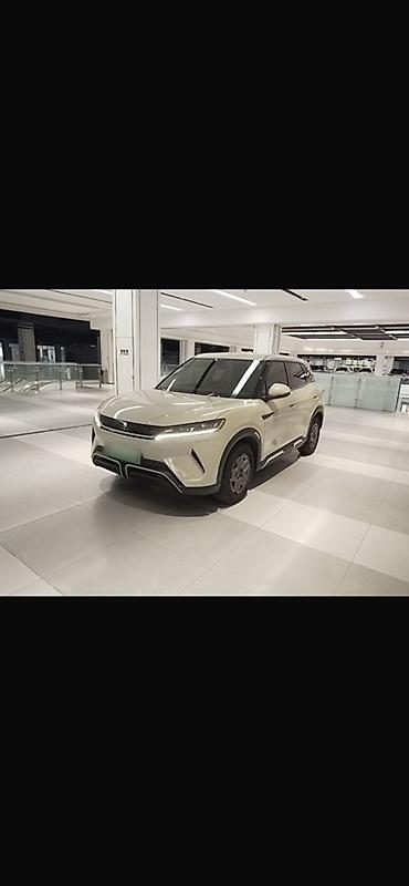 BYD Yuan Up: 2024 г.