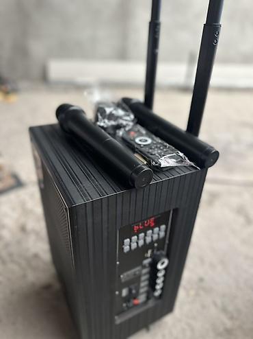 se electronics: Портативная аккумуляторная акустическая система SSRJ SS-3101 Основные — 6
