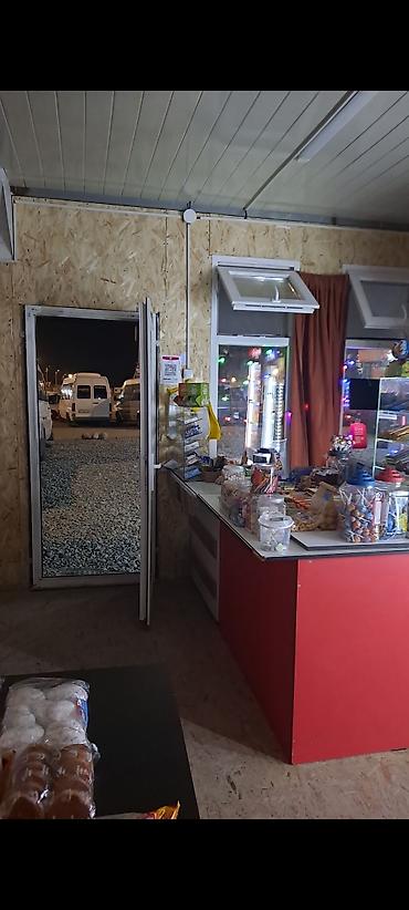 монгол ат: Продуктовый магазин «Токтогул» АРЕНДАГА БЕРИЛЕТ АДРЕС НОВЫЙ ЗАПАДНЫЙ — 2