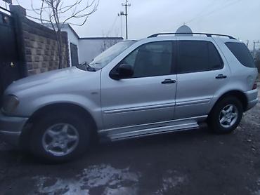 Mercedes-Benz: Mercedes-Benz M-Class: 1999 г., 3.2 л, Автомат, Бензин, Внедорожник — 12