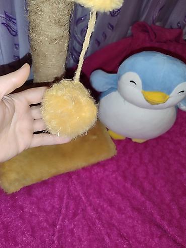 toy pudil: Pişik üçün tirma və oyun stanoku - Material: sisal iplə bərkidilmiş — 4