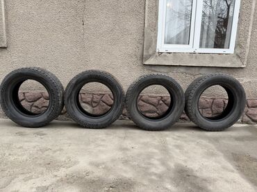 Шины: Шины 205 / 65 / R 16, Зима, Б/у, Комплект, Легковые, Корея, Roadstone — 7