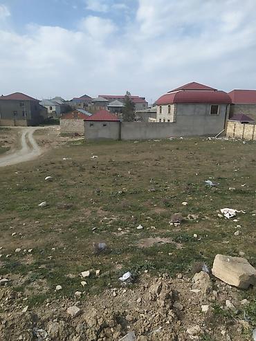 Torpaq: 10 sot, Tikinti, Mülkiyyətçi, Kupça (Çıxarış) — 5
