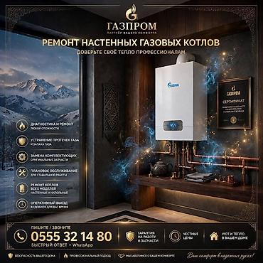 Ремонт и обслуживание настенных газовых котлов Профессиональная