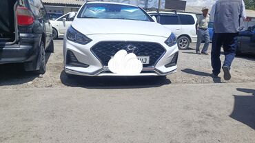 купить авто с кореи бу: Hyundai Sonata: 2020 г., 2 л, Автоматтык, Газ, Седан