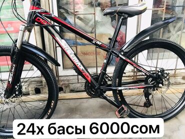 Велосипеды: Горный велосипед, Skillmax, Рама XL (180 - 195 см), Титан, Б/у