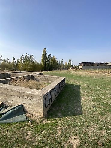 алтын казык ж м: 7 соток, Для строительства, Красная книга, Тех паспорт — 8