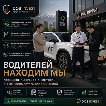 DOS INVEST — управление автоактивами под ключ Что это: -