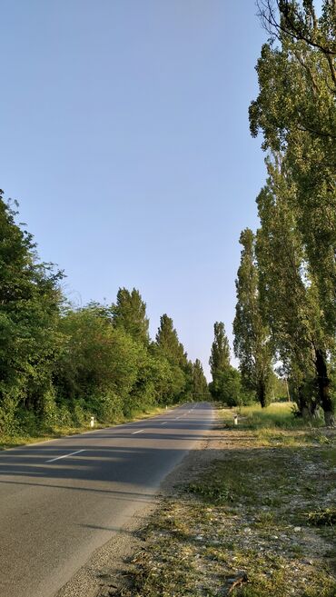 Uzunmüddətli kirayə mənzillər: QUSAR HƏYƏT EVİ | Günlük & Aylıq KİRAYƏ🏡 ~Geniş rahatlığa və — 15