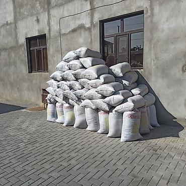 peyin: Toz halinda mal peyini - kisesi 2,80 q. ( boyuk kepek kisesinde-agiz — 4