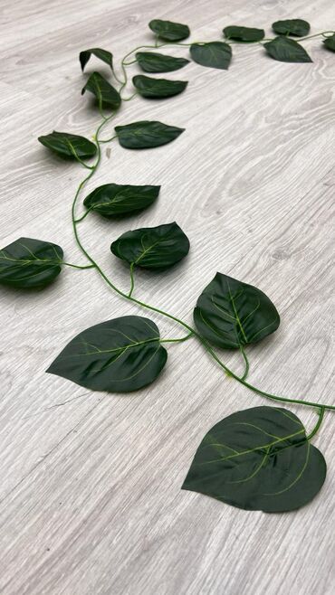 Süni güllər: 2 azn başlayan qiymətlər depodan bi̇r başa satiş suni yarpağ dekor — 2