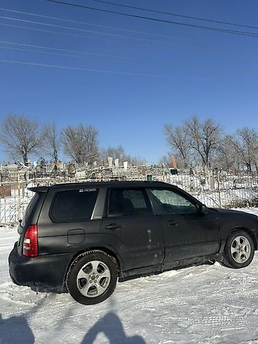 Subaru: Subaru Forester: 2003 г., 2.5 л, Автомат, Газ, Кроссовер — 1