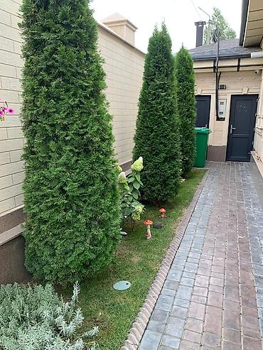 Sale of cottages and houses: Продается современный дом 250 м² на участке 4 сотки в центре с — 15