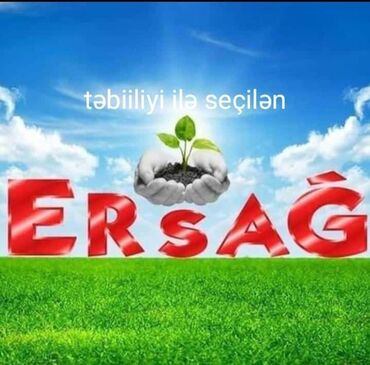 online iş evden: Marketoloq tələb olunur, Onlayn iş, İstənilən yaş, Təcrübəsiz