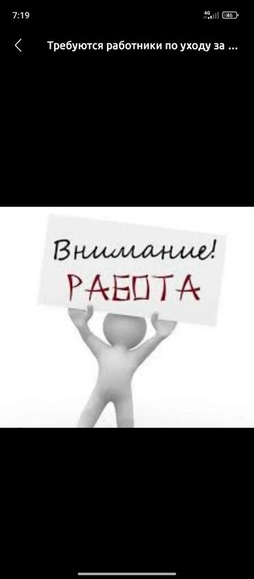 работа для 45 летних мужчин: Помогать Шмолять говяжие ношки и чистить снимать копыта