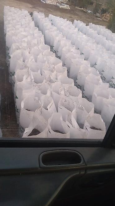 torf nerede satılır: Torf balaken 10/12kq torf 50kilo250litrxarici olkenn mehsulu ekolay — 8