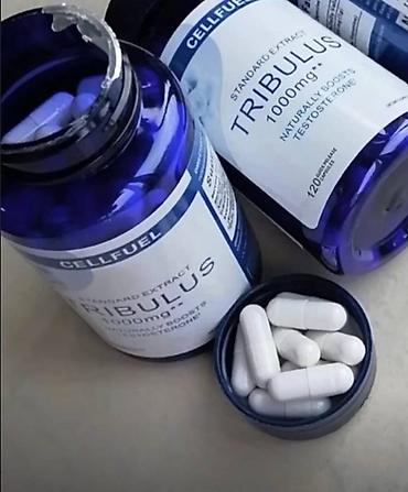 Спортивное питание: БЦА (BCAA), ЗМА (ZMA), предтреник, креатин, аргинин, трибулус, омега-3 — 4