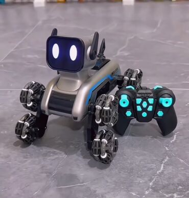 robot maşınlar: Həm saatlı həm pultlu robot pişik(zaryatkalıdır)