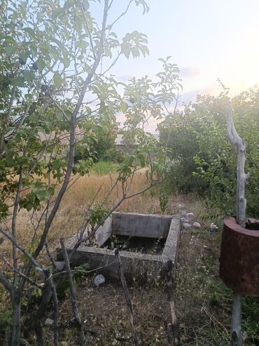 Продажа участков: 10 соток, Красная книга — 4