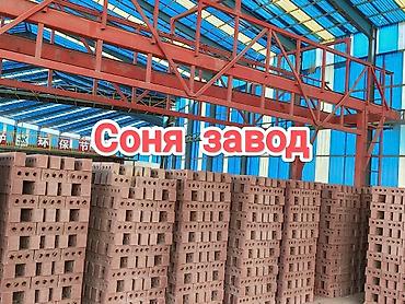 Пустотелый, дырчатый, Жженый кирпич, Полублок, 250×120×90