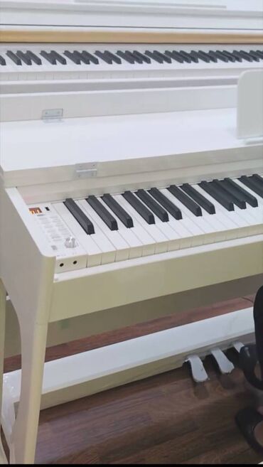 Sintezatorlar: Sintezator, Yeni, Pulsuz çatdırılma — 7