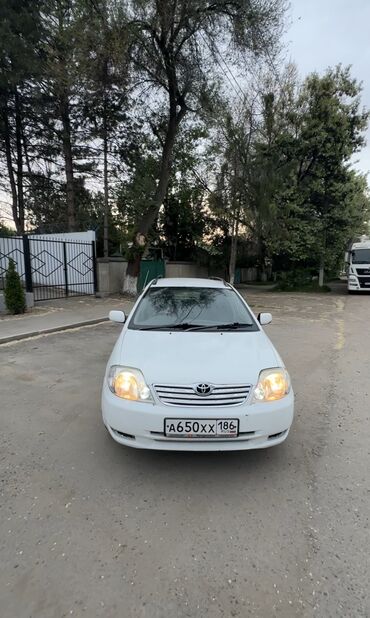 тойота королла универсал: Toyota Corolla: 2000 г., 2.2 л, Автомат, Дизель, Универсал
