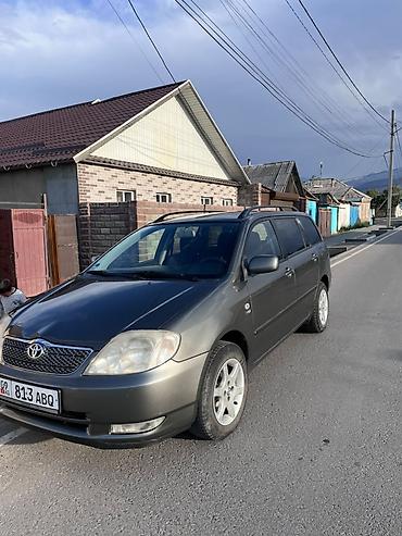 купе купэ: Toyota Corolla: 2002 г., 1.6 л, Механика, Бензин, Универсал — 3
