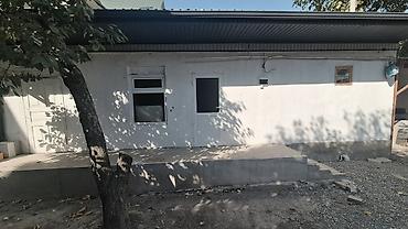 дома с большим участком: 220 м², 6 комнат и более — 9