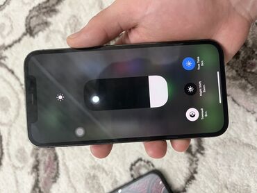 сколько стоит бронированный телефон: IPhone 12 Pro, Графит, Чехол