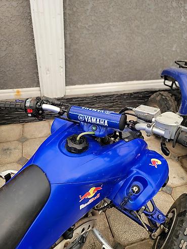 прямотое: Квадроцикл Yamaha, Бензин, 350 куб. см, Взрослый — 5