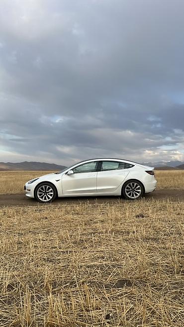 тесла модел 3: Tesla Model 3: 2020 г., Автомат, Электромобиль, Седан — 3