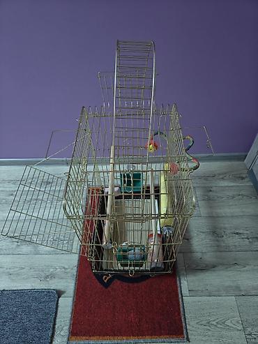Зоотовары: Клетка для птиц (с аксессуарами). Высота 67 см, ширина 47 см, глубина — 3