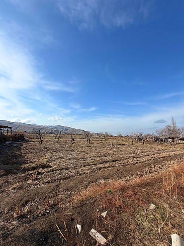 Продажа коттеджей и домов: 🚨🔥 СРОЧНАЯ ПРОДАЖА! ДОМ ПОД ПСО В АРЧАЛЫ — ВИД, ПРОСТОР И ЗЕМЛЯ В — 18