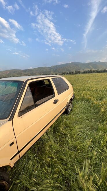 гольф 1: Volkswagen Golf: 1989 г., 1.3 л, Автомат, Бензин, Купе