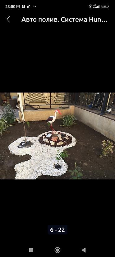 Газон: Сеем Газон и Автополив at lalafo.kg — 4 Газон: Сеем Газон и Автополив — 4